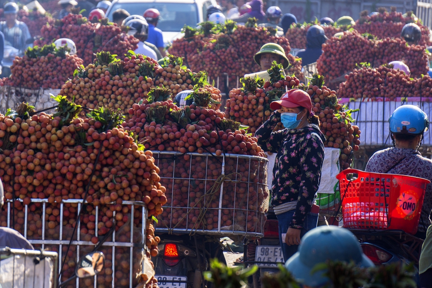 Phó Thủ tướng chỉ đạo hỗ trợ tiêu thụ nông sản tỉnh Bắc Giang