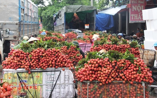 Thủ tướng chỉ đạo tháo gỡ khó khăn tiêu thụ nông sản cho Bắc Giang