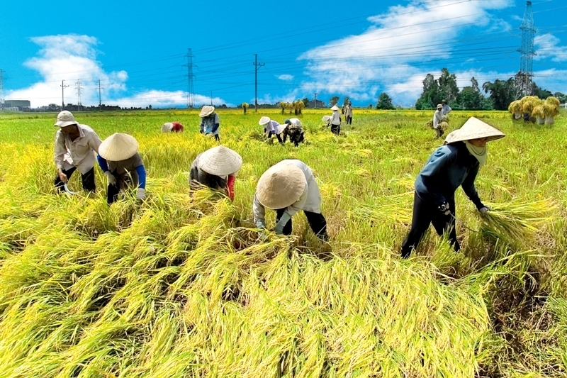 Giao kế hoạch vốn cho các địa phương thực hiện 3 chương trình mục tiêu quốc gia