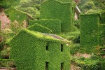 [Chùm ảnh] Làng chài bỏ hoang ở Trung Quốc đẹp mê hồn