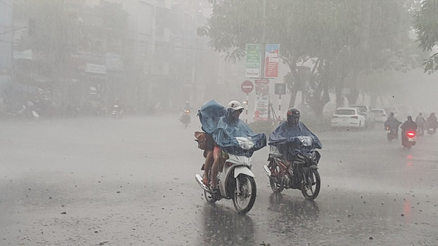 hue phu huynh dua con di lam thu tuc thi trong loc lon mua du doi