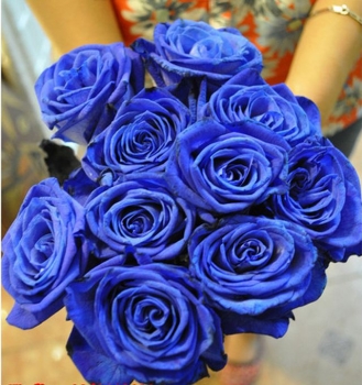 Hoa hồng xanh nhập khẩu vài trăm ngàn đồng/bông, không vào dịp lễ cũng “cháy hàng”