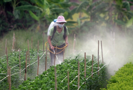 Hà Nội: Hơn 100kg thuốc bảo vệ thực vật ngoài danh mục chờ tiêu hủy