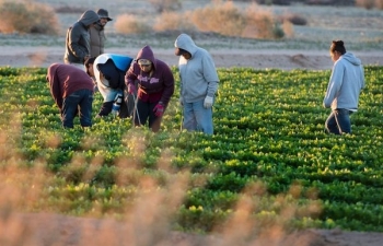 Giải bài toán đầu tư ít nhưng hiệu quả cao của nông nghiệp: Kinh nghiệm từ Mexico