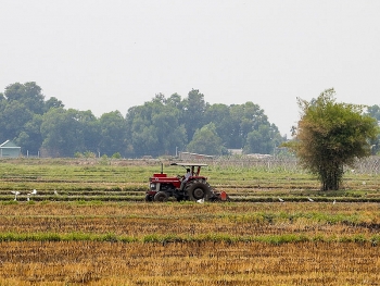 Chuyển mục đích sử dụng đất tại tỉnh Tiền Giang, Hậu Giang