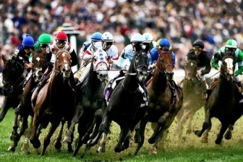 Hoàn thiện quy định về kinh doanh đặt cược đua ngựa, bóng đá quốc tế