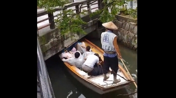 Thú vị cảnh du khách cúi rạp, người chèo thuyền nhảy lên cầu ở Nhật Bản