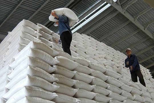 Tiếp tục thúc đẩy thu mua lúa gạo cho nông dân