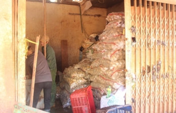 “Cấm cửa” khoai tây Trung Quốc tại chợ nông sản Đà Lạt