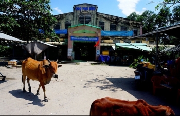 Bỏ hoang chợ tiền tỷ, tiểu thương "ôm" vỉa hè kiếm sống