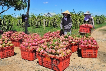 Bộ Công Thương tổ chức loạt sự kiện xúc tiến thương mại