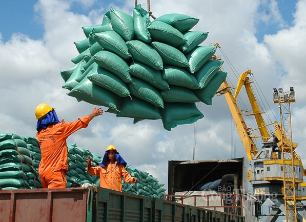 Tin tức kinh tế ngày 18/9: Philippines, Trung Quốc tăng mua gạo Việt Nam