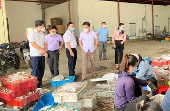 Tin tức kinh tế ngày 25/9: Nghệ An kêu gọi “giải cứu” 10.000 tấn hải sản