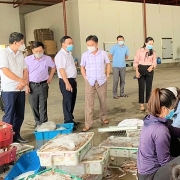 Tin tức kinh tế ngày 25/9: Nghệ An kêu gọi “giải cứu” 10.000 tấn hải sản