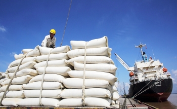 Xuất khẩu gạo tăng cả về lượng và giá trị