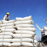 Xuất khẩu gạo tăng cả về lượng và giá trị