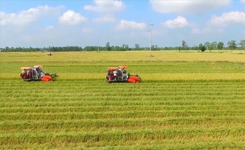 Hạn chế chuyển đổi đất trồng lúa sang đất phi nông nghiệp