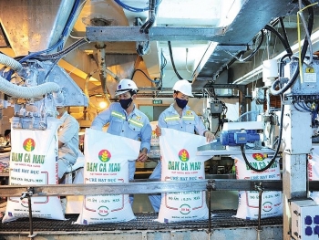 [PetroTimesMedia] Lĩnh vực phân bón dầu khí phát huy thế mạnh, hướng tới phát triển bền vững