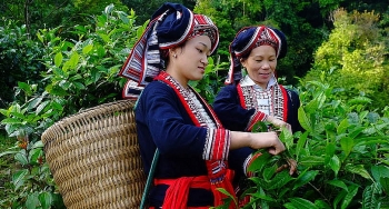 Phê duyệt Chương trình mục tiêu quốc gia phát triển kinh tế - xã hội vùng đồng bào dân tộc thiểu số và miền núi giai đoạn 2021-2030