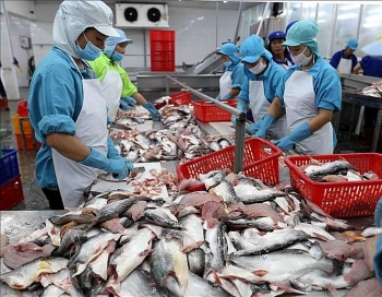 Cá tra Việt Nam “đổ bộ” vào thị trường ASEAN