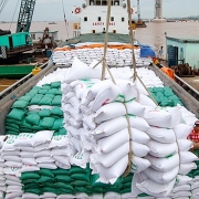 Tin tức kinh tế ngày 26/10: Xuất khẩu gạo tiếp tục tăng về sản lượng và giá trị