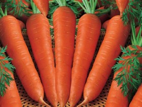 Làm đẹp da với cà rốt