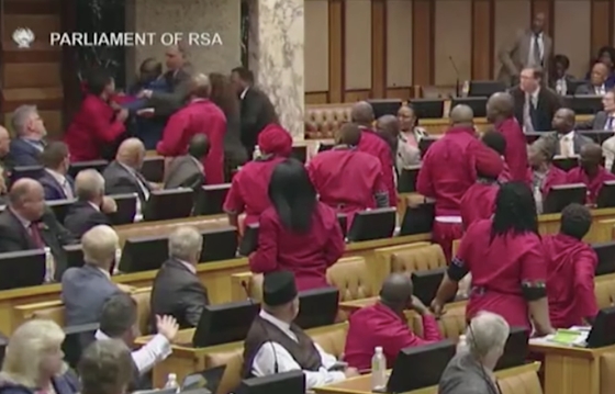 Nghị sĩ Nam Phi lao vào ẩu đả tại cuộc họp của quốc hội