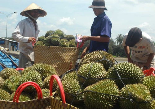 Trăn trở của những…  “ông vua” ở miền Tây