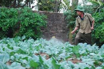 An toàn thực phẩm: Bắt đầu từ... người nông dân