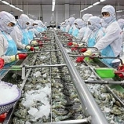 Tin tức kinh tế ngày 17/12: Việt Nam là thị trường cung cấp thủy sản lớn thứ 5 sang Nhật Bản
