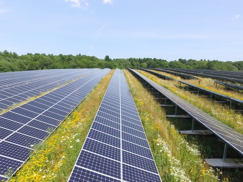 Nhà Trắng cân nhắc việc gia hạn thuế năng lượng mặt trời với các điều chỉnh