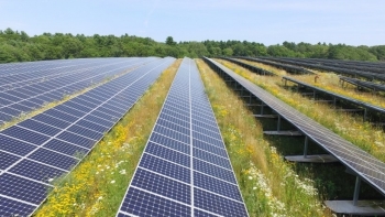 Nhà Trắng cân nhắc việc gia hạn thuế năng lượng mặt trời với các điều chỉnh