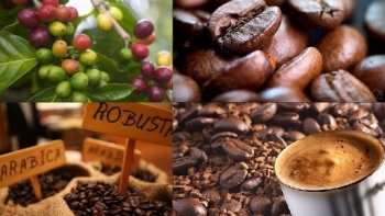 Giá cà phê hôm nay 29/1/2022:  Tại hai sàn quốc tế đã tăng trở lại