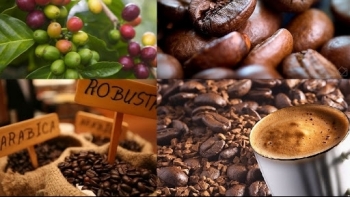 Giá cà phê hôm nay 6/2/2022: Giảm trên sàn quốc tế