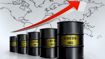 Citi cảnh báo cám dỗ bởi viễn cảnh giá dầu thô
