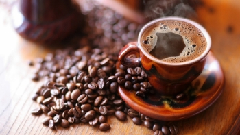 Giá cà phê hôm nay 10/2: Tiếp tục tăng mạnh trên thị trường thế giới