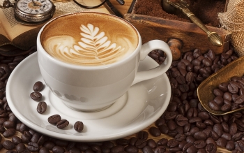 Giá cà phê hôm nay 23/2: Giảm 300 đồng/kg tại một số địa phương