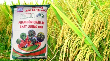 Giá phân bón hôm nay 17/3: Duy trì mức giao dịch