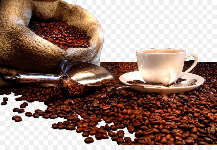 Giá cà phê hôm nay 18/3: Giảm nhẹ tại thị trường trong nước