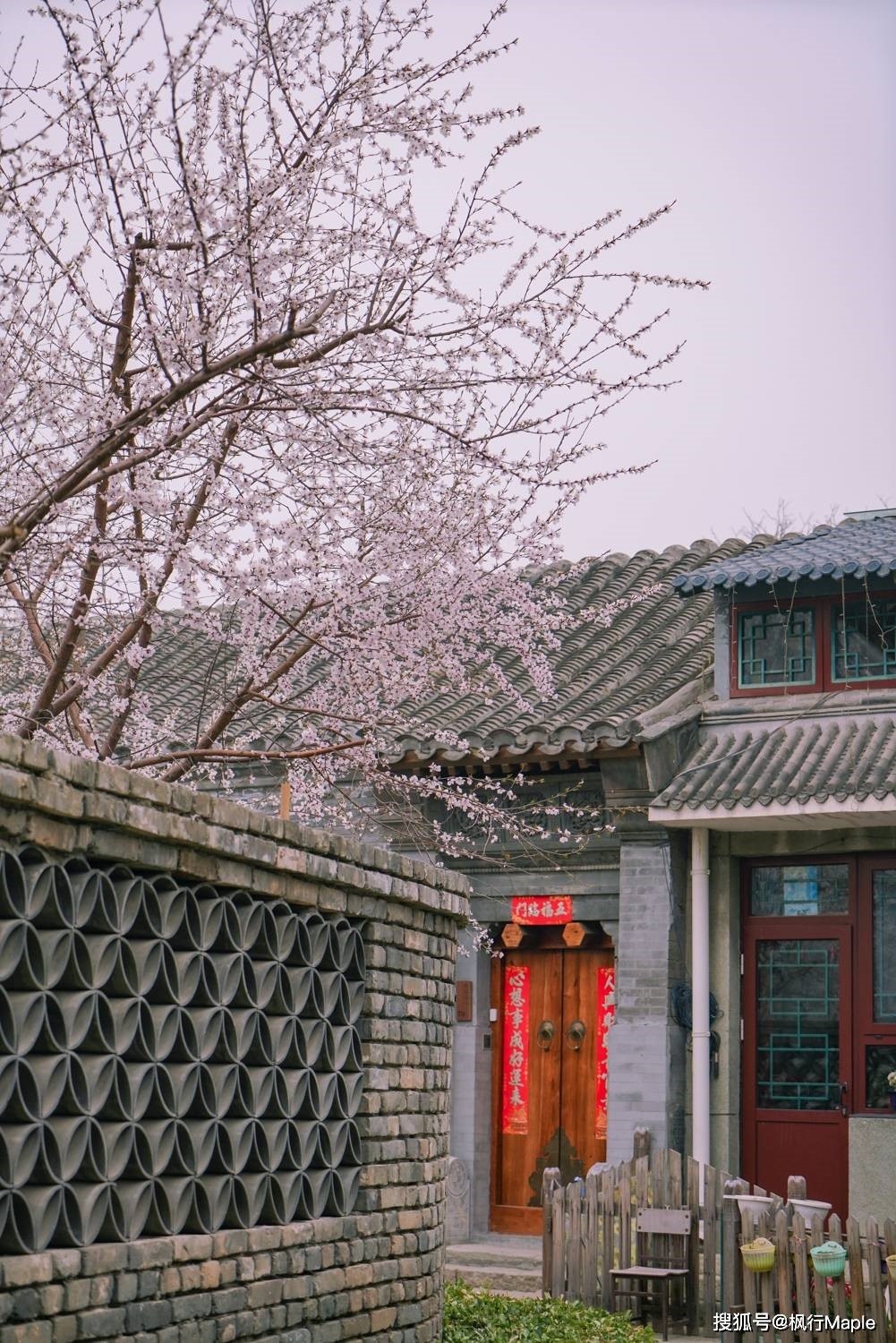 Trung Quốc: Ngắm hoa anh đào nở rộ ven sông ở Bắc Kinh