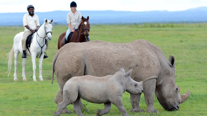 Những nơi tuyệt vời nhất để du lịch Safari trong tương lai