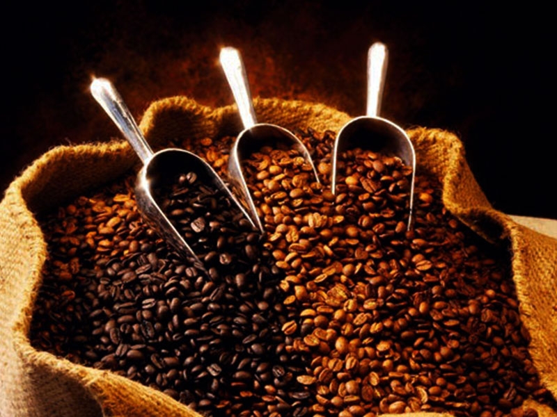 Giá cà phê hôm nay 8/5: Thị trường điều chỉnh sau đợt tăng nóng, trong nước trung bình 34.000 đồng/kg