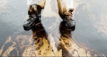 Các tổng giám đốc Royal Dutch Shell có phải chịu trách nhiệm về sự cố tràn dầu?