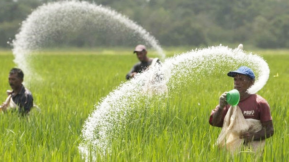 Giá phân bón hôm nay 29/5: Chưa có điều chỉnh mới