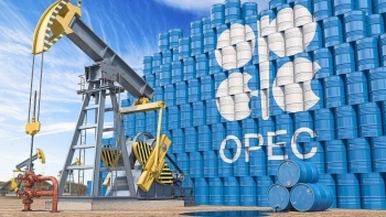 OPEC coi thỏa thuận về sản lượng dầu của UAE là nguy cơ bế tắc