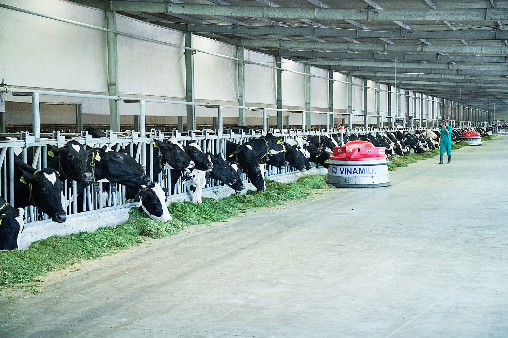Vinamilk chia sẻ mô hình “Green Farm” - Bước tiến về phát triển bền vững của ngành sữa tại Hội nghị Toàn cầu
