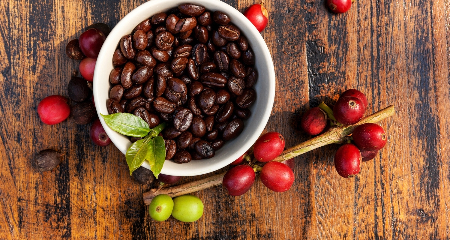 Giá cà phê hôm nay 11/7: Dứt chuỗi giảm, giá cà phê sẽ tăng mạnh tuần này?