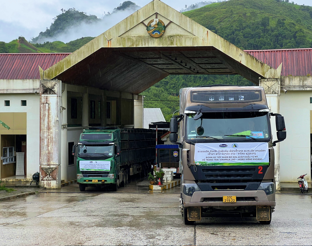 Trang trại Vinamilk Lao-Jagro tiếp nhận đàn bò sữa 1.000 con từ Mỹ