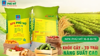 Giá phân bón hôm nay 17/7: Không có biến động