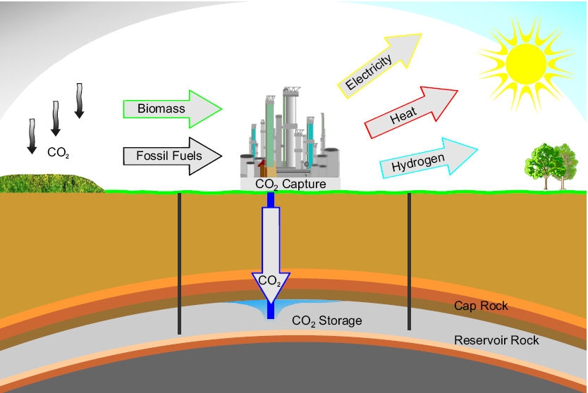 Lưu trữ carbon có thực sự là giải pháp hiệu quả?